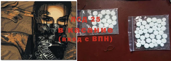 стафф Алзамай