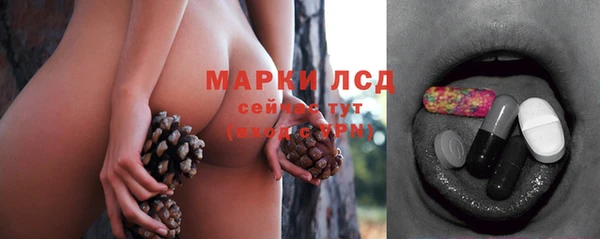 тгк Корсаков