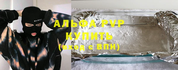 стафф Алзамай