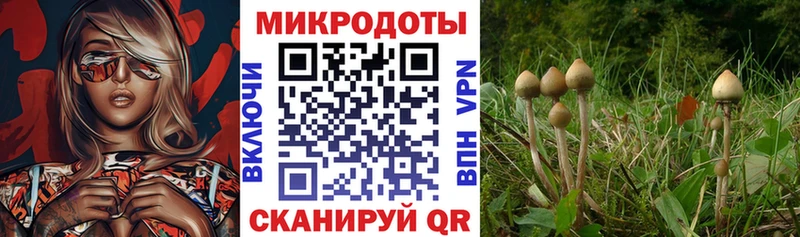 это как зайти  Одинцово  Псилоцибиновые грибы ЛСД 