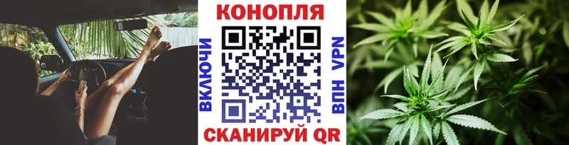 Шишки марихуана конопля  ссылка на мегу как войти  Одинцово  даркнет сайт 